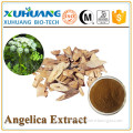 High quality organic ligustilide 1.5% natural angelica extract